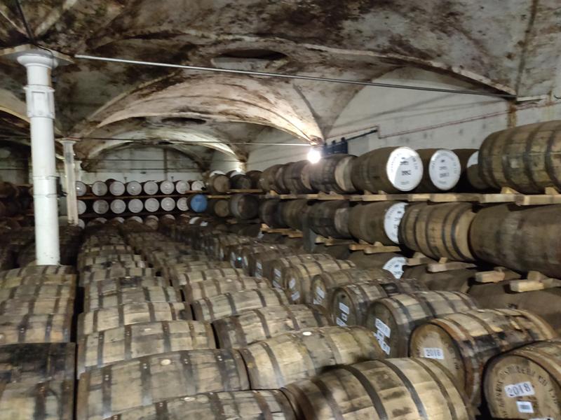 Picture of Baudoinia Compniacensis at Deanston whisky distillery.jpg