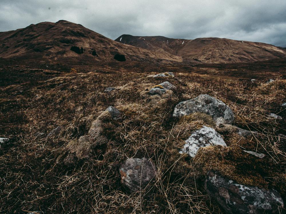 Picture of The languages of Scotland